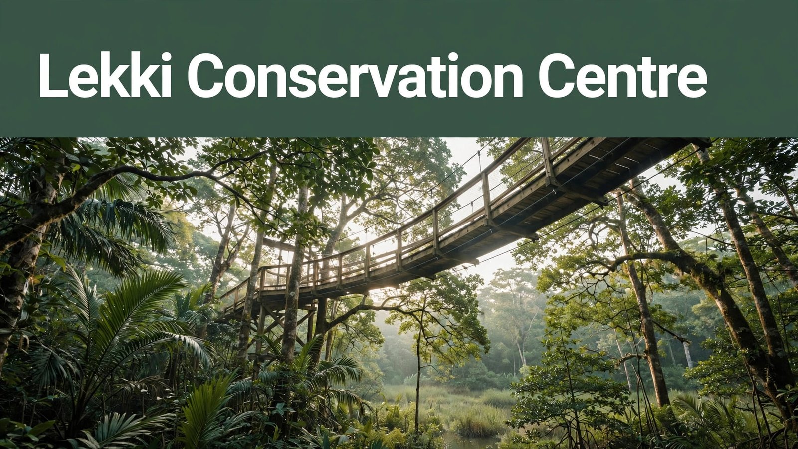 A wooden canopy bridge winds through green trees beneath a Lekki Conservation Centre banner.